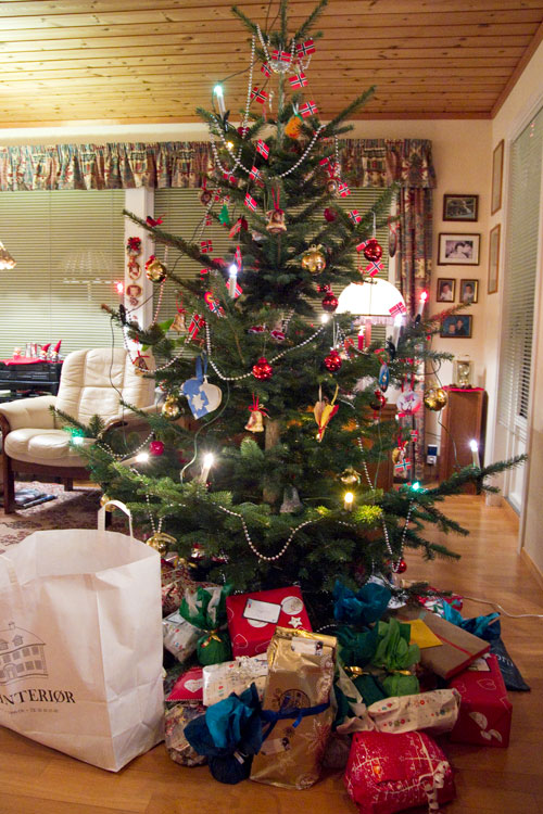 20111226-xmas-dinner-norway-tree.jpg