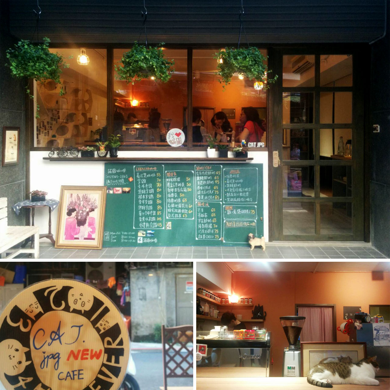 Photos of the new Cat.jpg Cafe